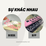 Sự khác nhau của in decal và in PP