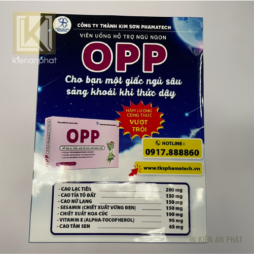 In tờ rơi leaflet: Tìm hiểu và lợi ích