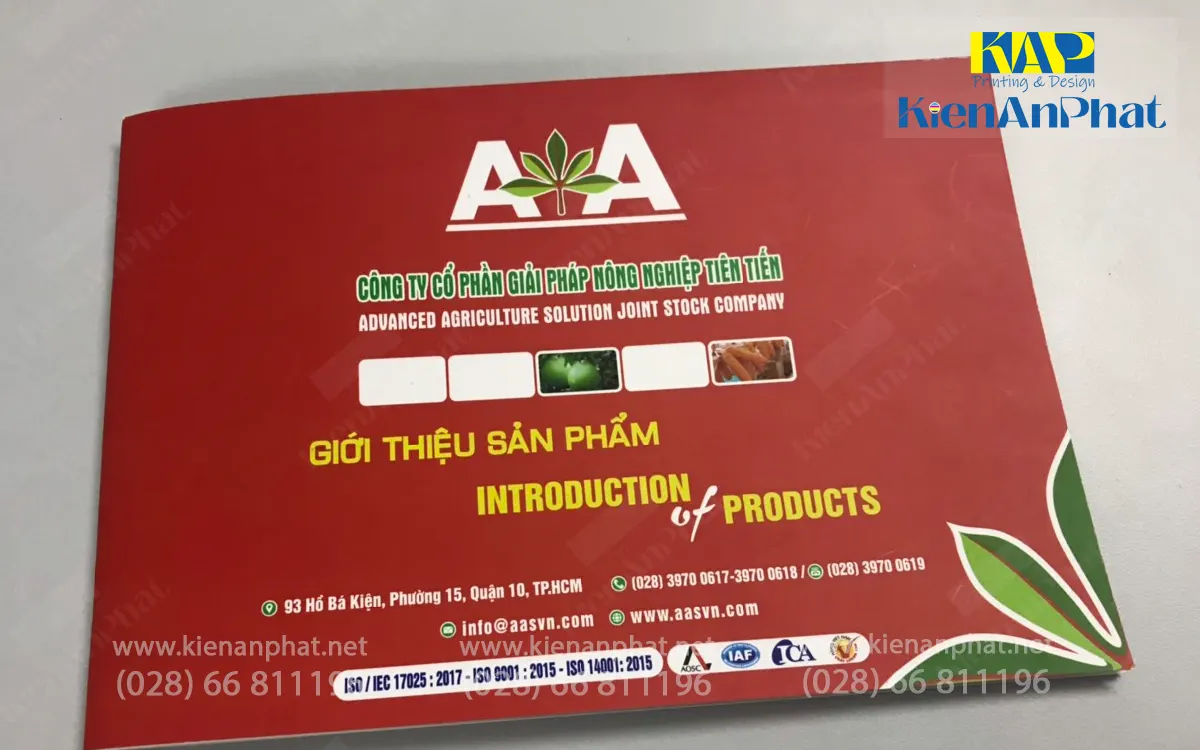 Giấy in catalogue couche cán màng mờ