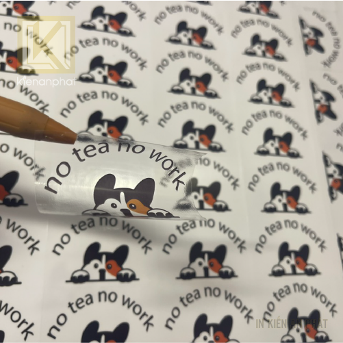 Decal trong là gì? Chất liệu in ấn thông dụng trong quảng cáo lẫn tem nhãn dán