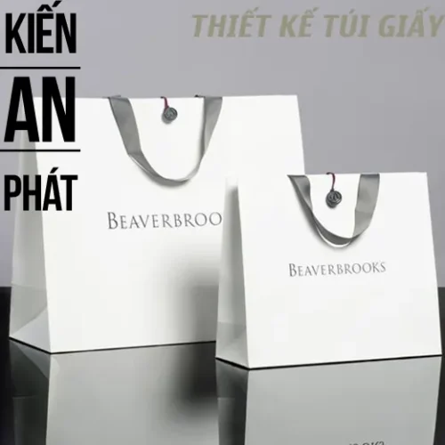 Tầm quan trọng của thiết kế in túi giấy trong ngành thời trang