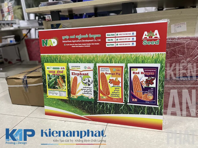 Công ty in pp chuyên nghiệp Kiến An Phát