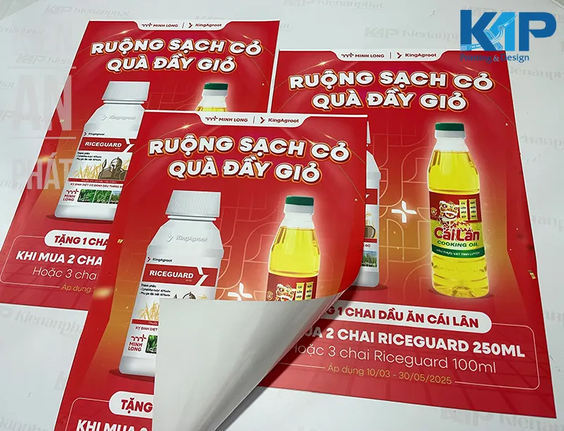 Xưởng in pp giá rẻ tpHCM - In Kiến An Phát