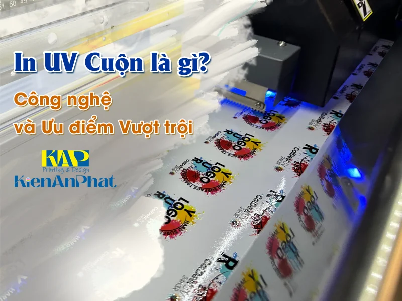 In UV Cuộn là gì? Công nghệ và Ưu điểm Vượt trội