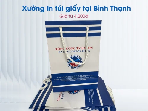 Xưởng In túi giấy tại Bình Thạnh giá từ 4.200đ