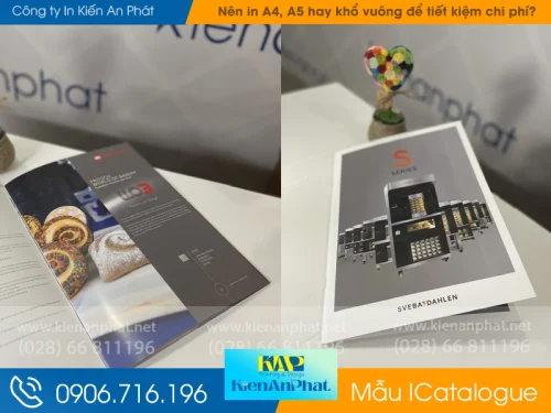 Kích thước Catalogue chuẩn: Nên in A4, A5 hay khổ vuông để tiết kiệm chi phí?