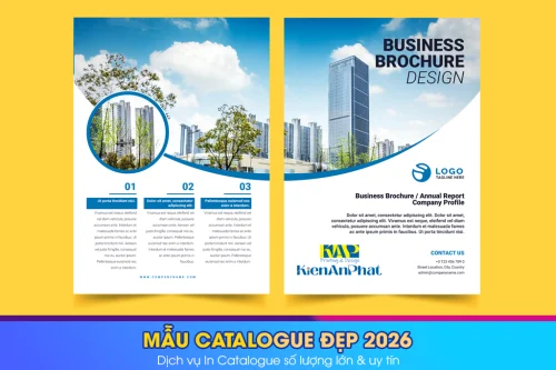 Một số mẫu Catalogue đẹp 2026 tham khảo